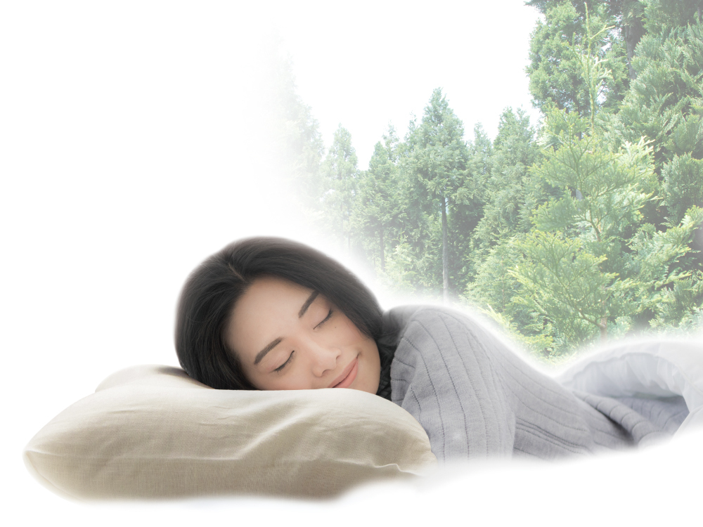 能登ヒバから生まれた 木のアロマ枕